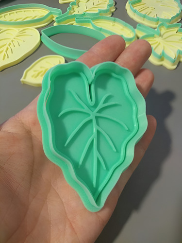 Cortantes Hojas Tropicales Monstera X8 | Galletitas Fondant Color Según Stock